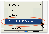 Sothink SWF Catcher